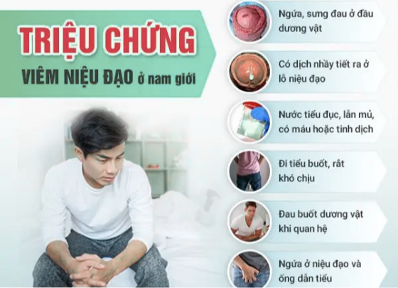 1759311708196069.png pk-binh-duong (6).png