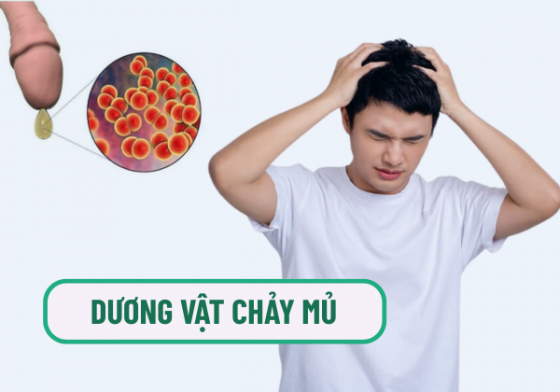 1759312127652830.png chua-benh-hieu-qua (15).png