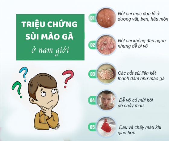 1759463250249705.png TRIỆU CHỨNG SÙI MÀO GÀ Ở NAM GIỚI.png