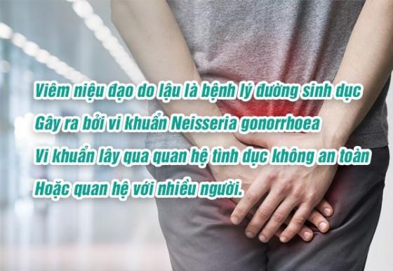 1760153732907028.jpg viem-nieu-dao-do-lau.jpg