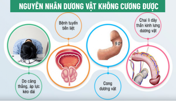 1760930066689604.png chua-benh-hieu-qua (79).png