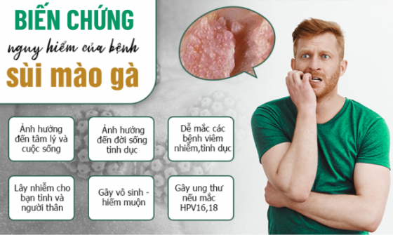 1761099893553766.png chua-benh-hieu-qua (36).png