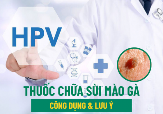 1761186168730258.png chua-benh-hieu-qua (88).png