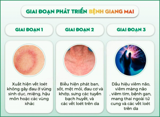 1761273054502616.png pk-binh-duong (15).png