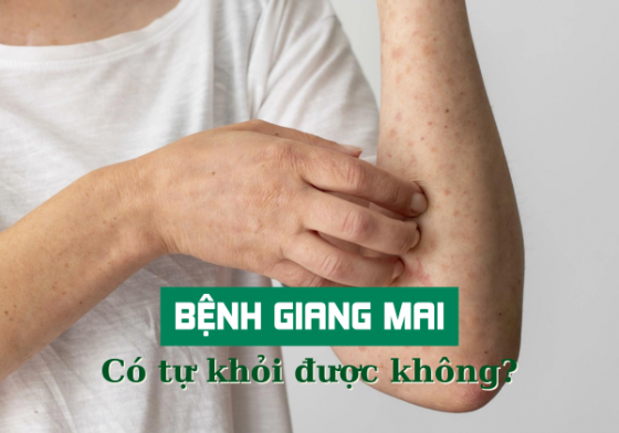 1761536049350077.png chua-benh-hieu-qua (89).png