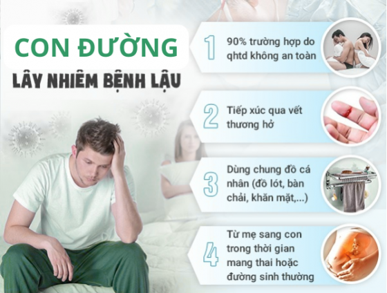 1761637242999895.png viem-vung-kin-nu (5).png
