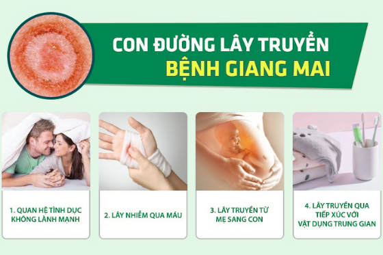 1761642161753782.png dieu-tri-benh-hieu-qua (25).png