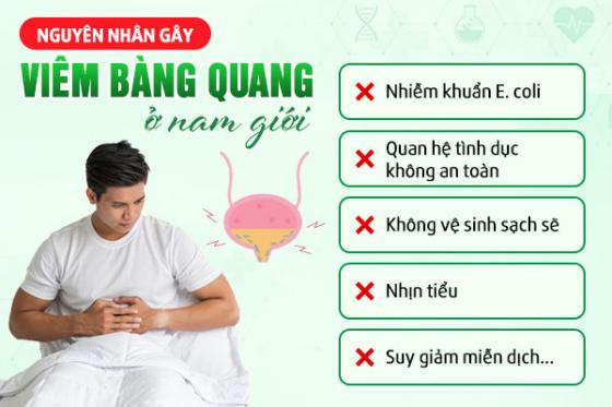 1780548704873886.jpg viem-bang-quang-nguyen-nhan.jpg